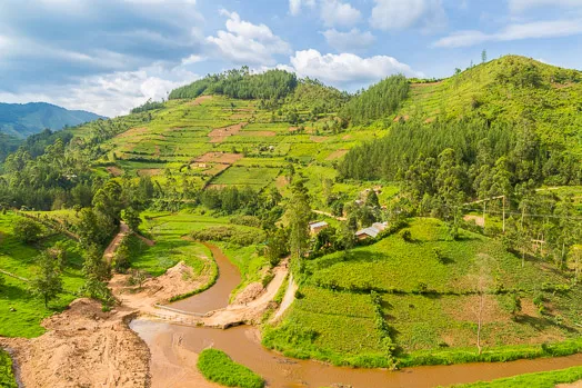 Paysage d'Ouganda