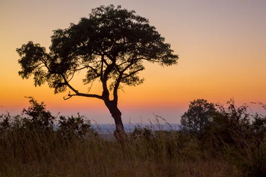 Camps et itinéraires dans le parc Kruger