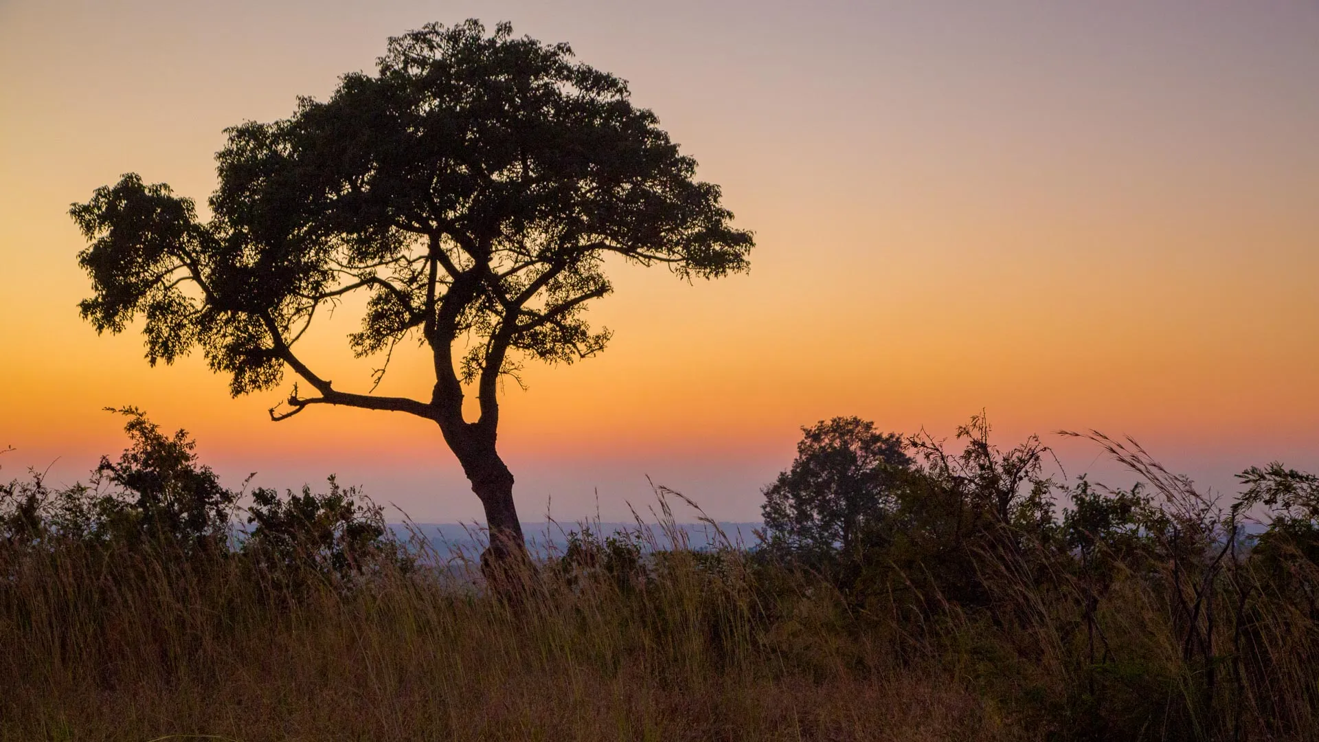 Camps et itinéraires dans le parc Kruger