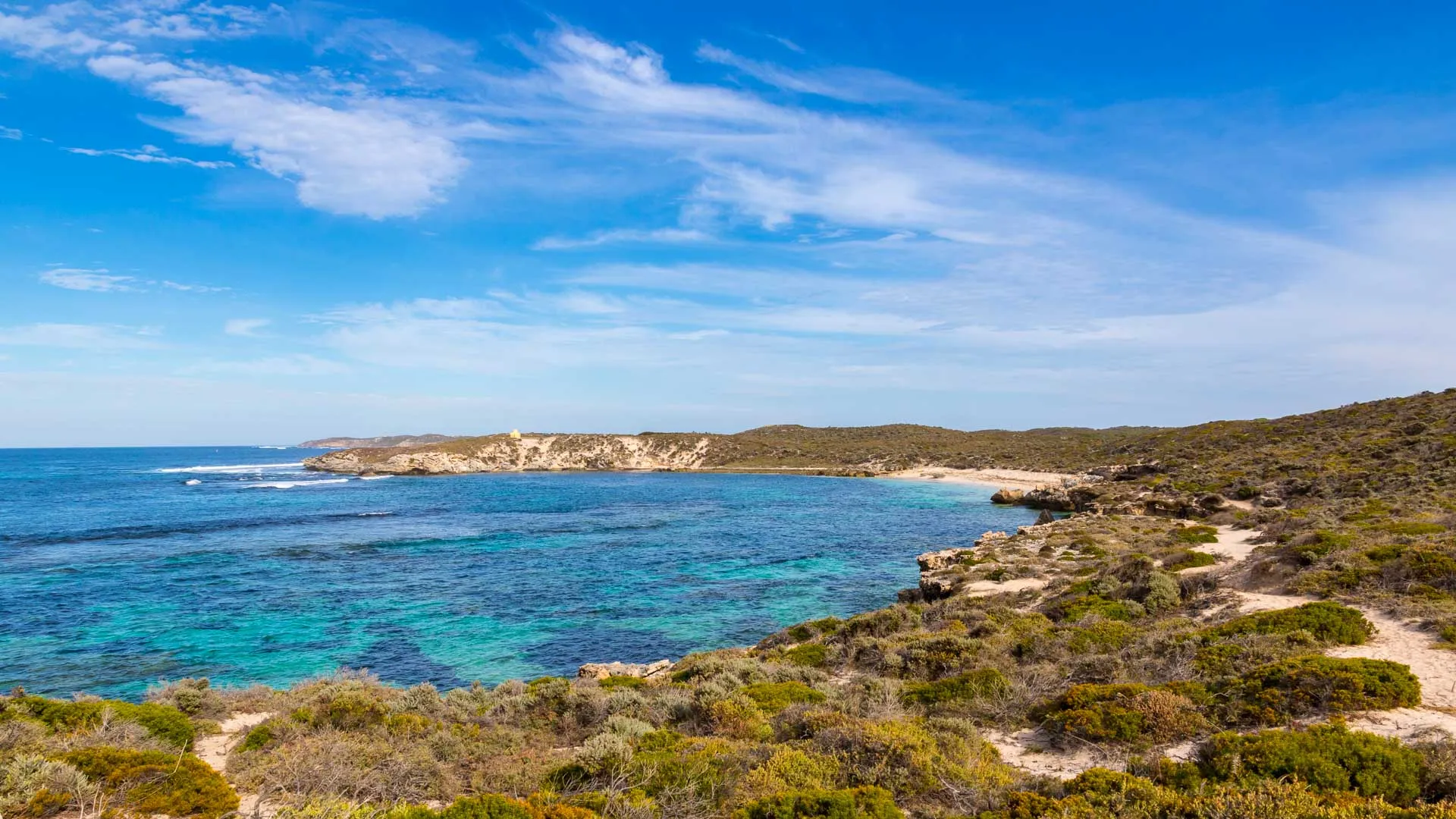 Deux jours avec les quokkas de Rottnest